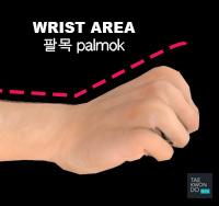 Taekwondo Common Mistakes Wrist is not straight