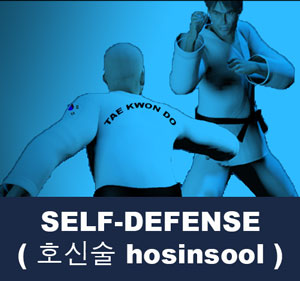 Self-Defense ( 호신술 hosinsool )