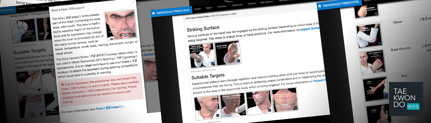 Taekwondo Impact surface Charts