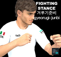 Fighting Stance ( 겨루기준비 gyeorugi-junbi )