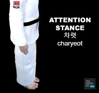 Attention Stance ( 차렷 charyeot )