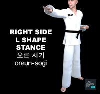 Right Side Stance ( 오른 서기 oreun-sogi )