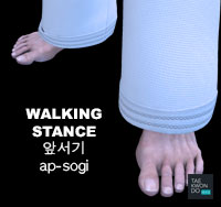 Walking Stance ( 앞서기 ap-sogi )