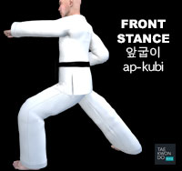 Front Stance ( 앞굽이 ap-kubi )