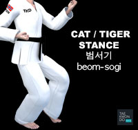 Cat Stance ( 범서기 beom-sogi )