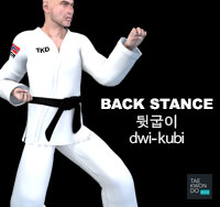 Back Stance ( 뒷굽이 dwi-kubi )