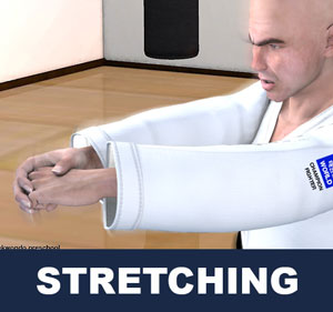 Taekwondo Stretching ( 스트레칭 seuteuleching )