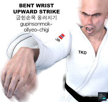 Bent Wrist Upward Strike ( 굽힌손목 올려치기 gupinsonmok-ollyeo-chigi )