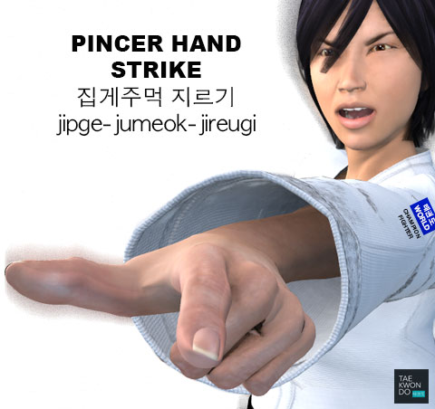 Pincer Hand Strike ( 집게주먹 지르기 jipge-jumeok-jireugi )