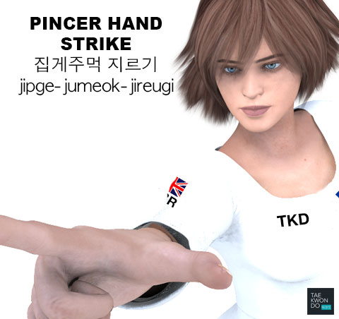 Pincer Hand Strike ( 집게주먹 지르기 jipge-jumeok-jireugi )