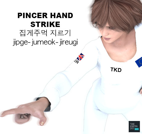 Pincer Hand Strike ( 집게주먹 지르기 jipge-jumeok-jireugi )