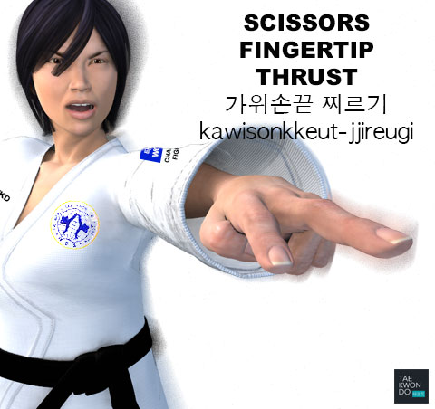 Scissors Fingertip Thrust ( 가위손끝 찌르기 kawisonkkeut-jjireugi )