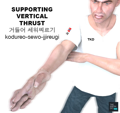 Supporting Vertical Thrust ( 거들어 세워찌르기 kodureo-sewo-jjireugi )