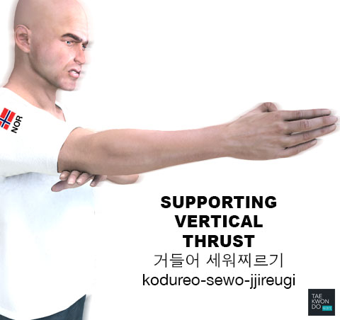 Supporting Vertical Thrust ( 거들어 세워찌르기 kodureo-sewo-jjireugi )