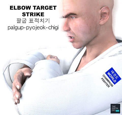 Elbow Target Strike ( 팔굽 표적치기 palgup-pyojeok-chigi )