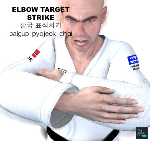 Elbow Target Strike ( 팔굽 표적치기 palgup-pyojeok-chigi )