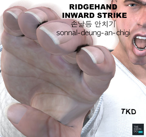 Ridge Hand Inward Strike ( 손날등 안치기 sonnal-deung-an-chigi )