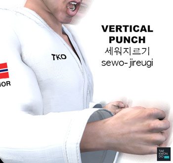 Vertical Punch ( 세워지르기 sewo-jireugi )