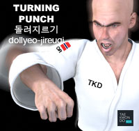 Turning Punch ( 돌려지르기 dollyeo-jireugi )