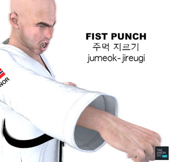 Fist Punch ( 주먹 지르기 jumeok-jireugi )