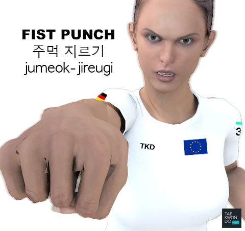 Fist Punch ( 주먹 지르기 jumeok-jireugi )