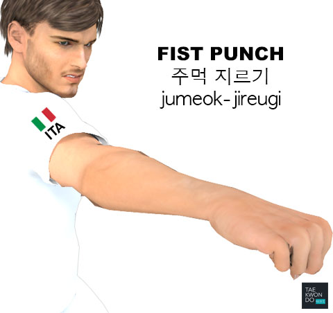 Fist Punch ( 주먹 지르기 jumeok-jireugi )