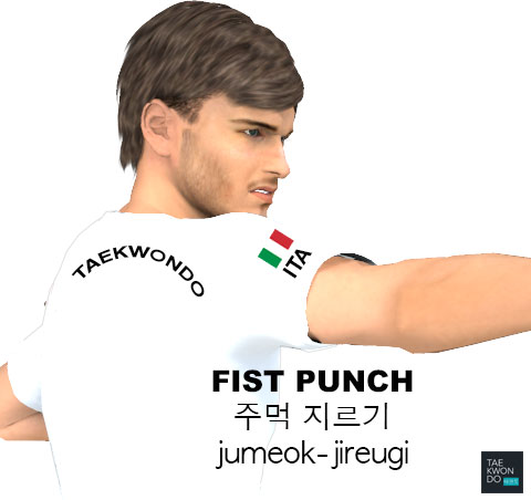 Fist Punch ( 주먹 지르기 jumeok-jireugi )