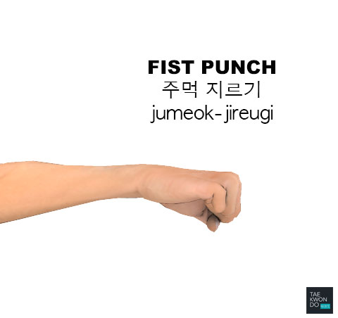 Fist Punch ( 주먹 지르기 jumeok-jireugi )