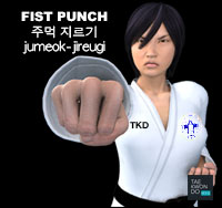 Fist Punch ( 주먹 지르기 jumeok-jireugi )