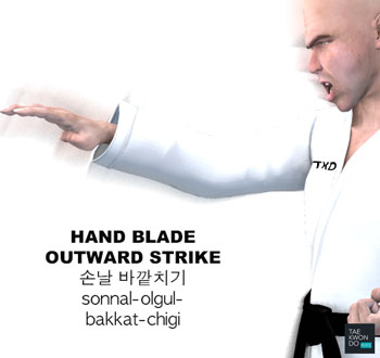 Hand Blade Outward Strike ( 손날 바깥치기 sonnal-olgul-bakkat-chigi )