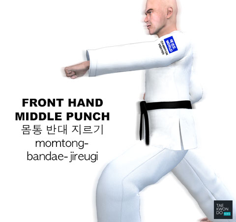 Front Hand Middle Punch ( 몸통 반대 지르기 momtong-bandae-jireugi )