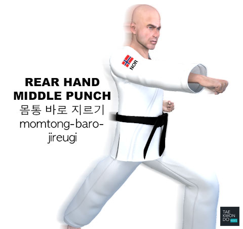 Rear Hand Middle Punch ( 몸통 바로 지르기 momtong-baro-jireugi )