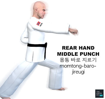 Rear Hand Middle Punch ( 몸통 바로 지르기 momtong-baro-jireugi )