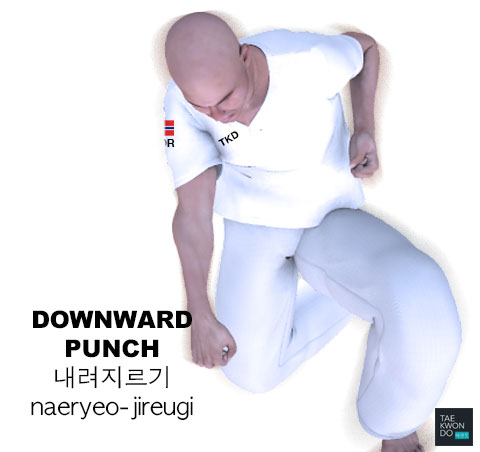 Downward Punch ( 내려지르기 naeryeo-jireugi )