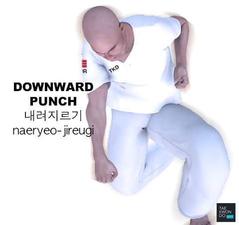 Downward Punch ( 내려지르기 naeryeo-jireugi )