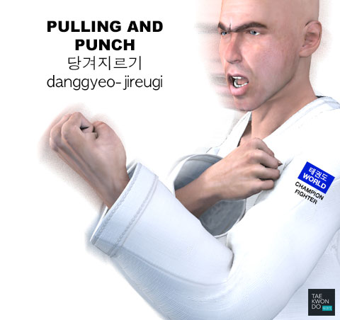 Pulling and Punching ( 당겨지르기 danggyeo-jireugi )