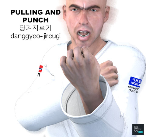 Pulling and Punching ( 당겨지르기 danggyeo-jireugi )