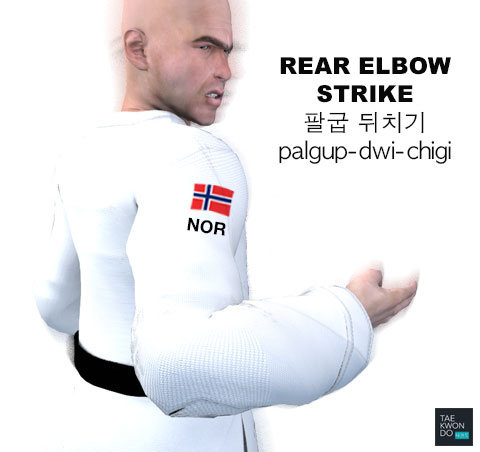 Elbow Rear Strike ( 팔굽 뒤치기 palgup-dwi-chigi )