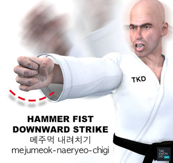 Hammer Fist Downward Strike ( 메주먹 내려치기 mejumeok-naeryeo-chigi )