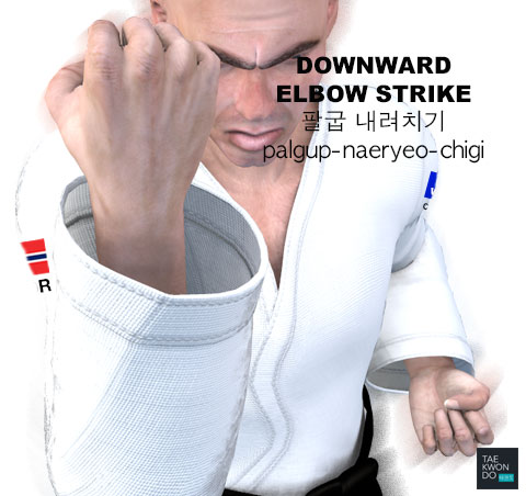 Elbow Downward Strike ( 팔굽 내려치기 palgup-naeryeo-chigi )