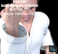 Elbow Downward Strike ( 팔굽 내려치기 palgup-naeryeo-chigi )