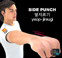 Side Punch ( 옆지르기 yeop-jireugi )