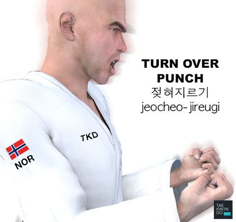 Turn Over Punch ( 젖혀지르기 jeocheo-jireugi )