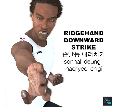 Ridgehand Downward Strike ( 손날등 내려치기 sonnal-deung-naeryeo-chigi )