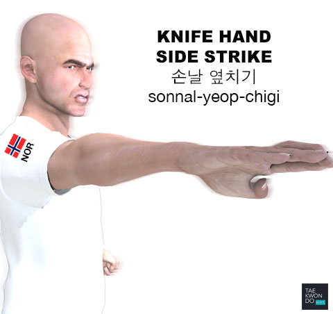 Hand Blade Side Strike ( 손날 옆치기 sonnal-yeop-chigi )