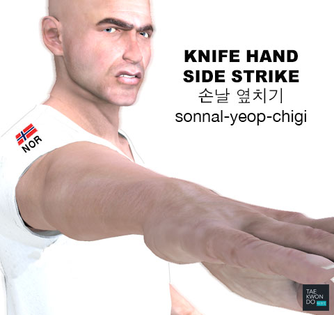 Hand Blade Side Strike ( 손날 옆치기 sonnal-yeop-chigi )