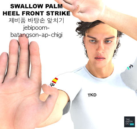 Swallow Palm Heel Front Strike ( 제비품 (바탕손) 앞치기 jebipoom-batangson-ap-chigi )