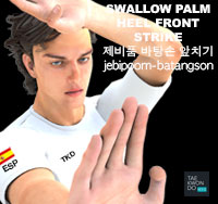 Swallow Palm Heel Front Strike ( 제비품 바탕손 앞치기 jebipoom-batangson-ap-chigi )