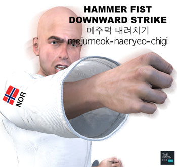 Hammer Fist Downward Strike ( 메주먹 내려치기 mejumeok-naeryeo-chigi )