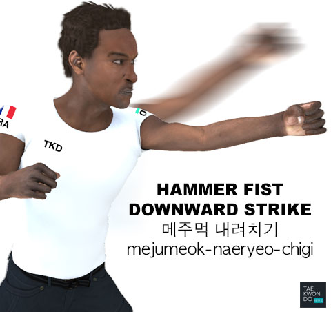 Hammer Fist Downward Strike ( 메주먹 내려치기 mejumeok-naeryeo-chigi )